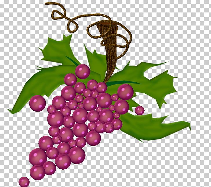 Grape Drawing PNG, Clipart, Auglis, Beaujolais Nouveau, Berry, Drawing, Flowering Plant Free PNG Download