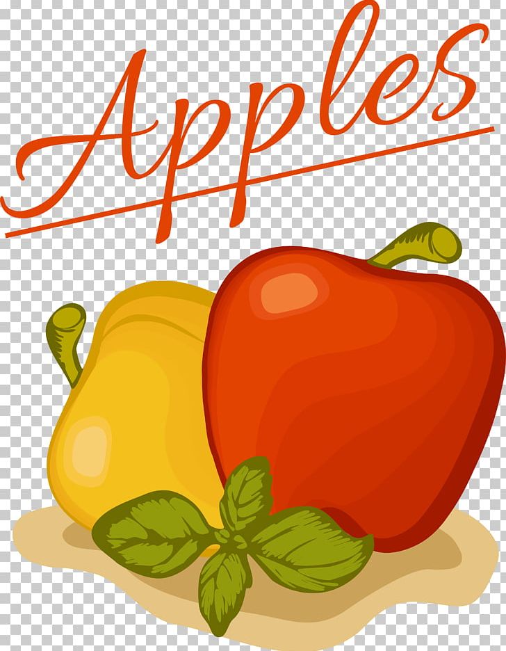 Habanero Bell Pepper Paprika Illustration PNG, Clipart, Apple, Bathroom, Bell Pepper, Chili Pepper, Decorative Free PNG Download