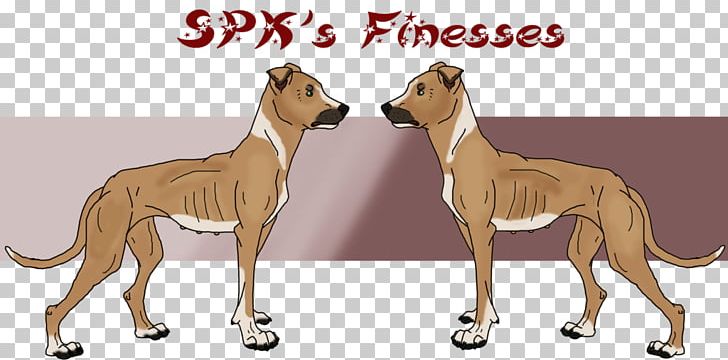 Spanish Greyhound Dog Breed Whippet Italian Greyhound PNG, Clipart, 08626, Azawakh, Big Cats, Bred Pit, Breed Free PNG Download