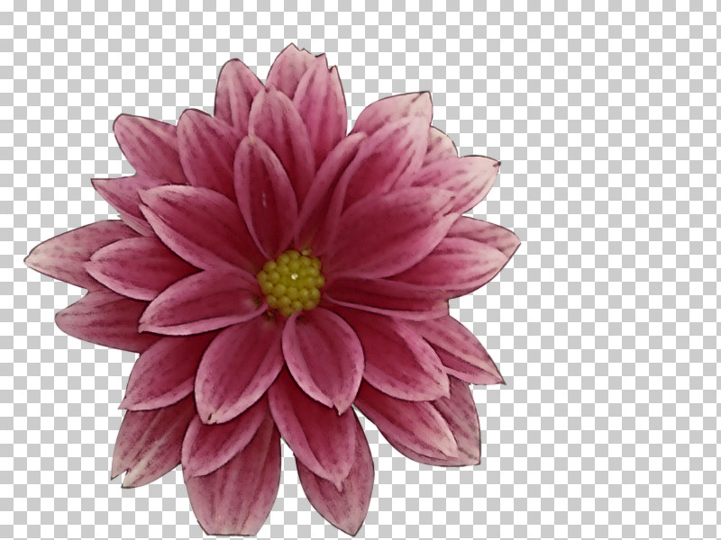 Artificial Flower PNG, Clipart, Artificial Flower, Aster, Dahlia, Daisy Family, Flower Free PNG Download