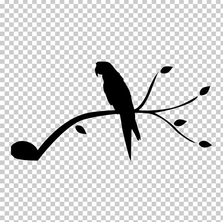 Beak Bird Sticker Twig PNG, Clipart, Animals, Beak, Bird, Black, Black And White Free PNG Download