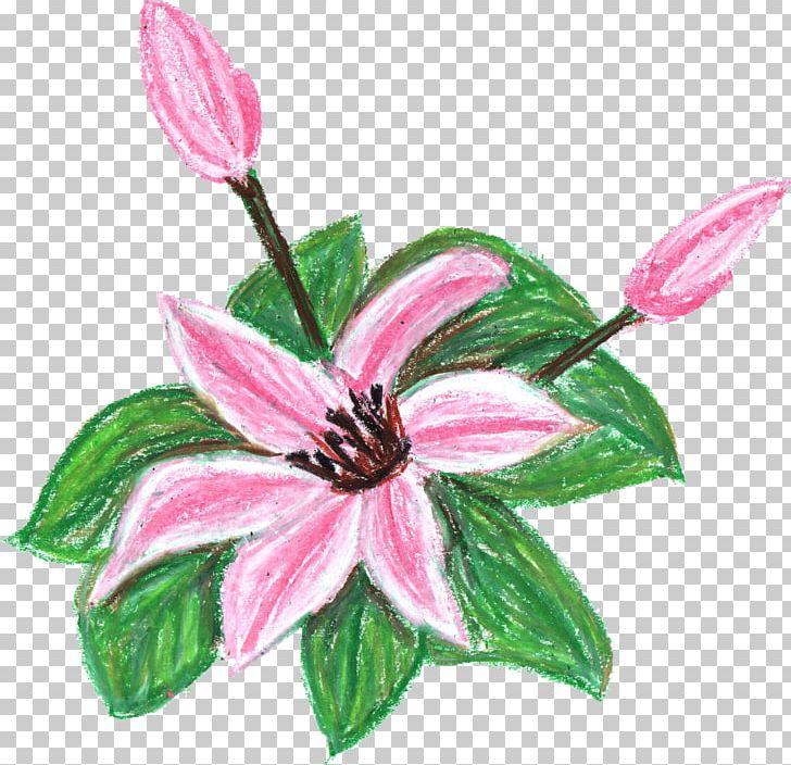Flower Crayon PNG, Clipart, Crayon, Cut Flowers, Drawing, Flora, Flower Free PNG Download