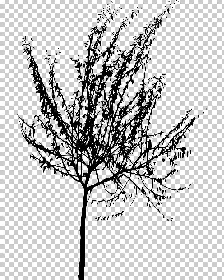 Twig Black And White Tree Line Art PNG, Clipart, Black And White, Branch, Cappadocia, Coloring Book, Drawing Free PNG Download