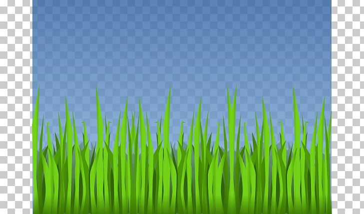 Animation Lawn Computer Icons PNG, Clipart, Animation, Computer Icons, Computer Wallpaper, Desktop Wallpaper, Drawing Free PNG Download
