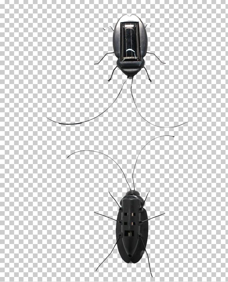 Cockroach Toy April Fools Day PNG, Clipart, April, April Fools Day, April Fool S Day Toys, Cockroach, Cockroach Free PNG Download