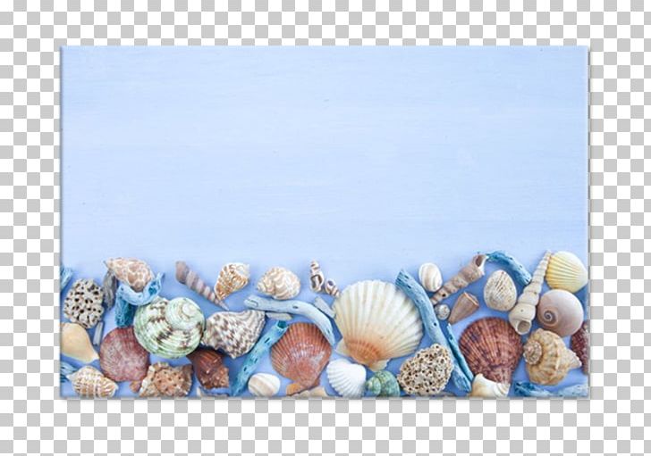 Seashell Stock Photography Conchology PNG, Clipart, Animals, Conchology, Material, Nail, Organism Free PNG Download