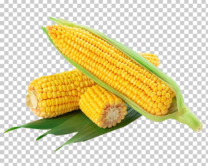 Waxy Corn Corn On The Cob Flint Corn Corn Flakes Sweet Corn PNG, Clipart, Baby Corn, Cartoon Corn, Cereal, Commodity, Corn Free PNG Download