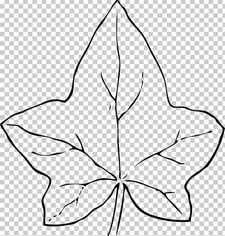 Common Ivy Leaf Drawing PNG, Clipart, Angle, Area, Artwork, Black And White, Common Ivy Free PNG Download