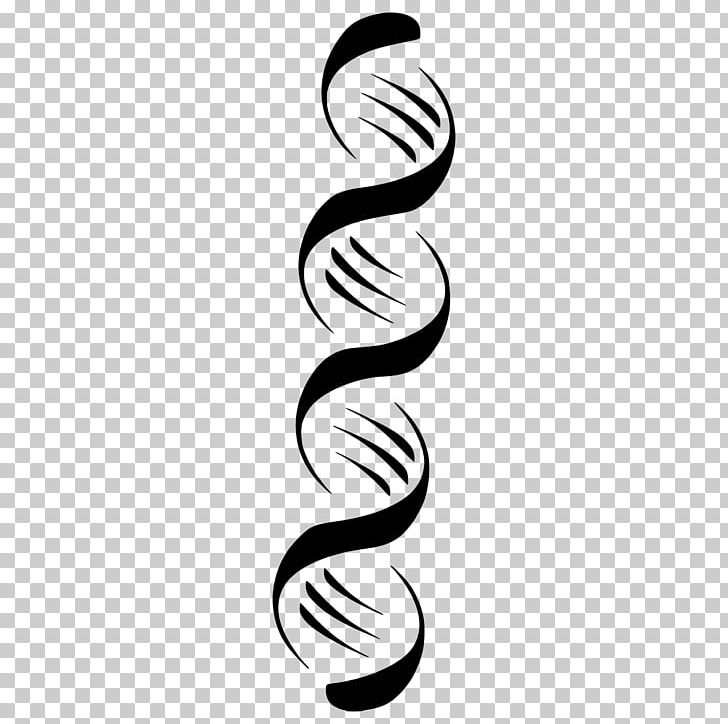 DNA Nucleic Acid Double Helix PNG, Clipart, Black And White, Body Jewelry, Cellfree Fetal Dna, Clip Art, Computer Icons Free PNG Download