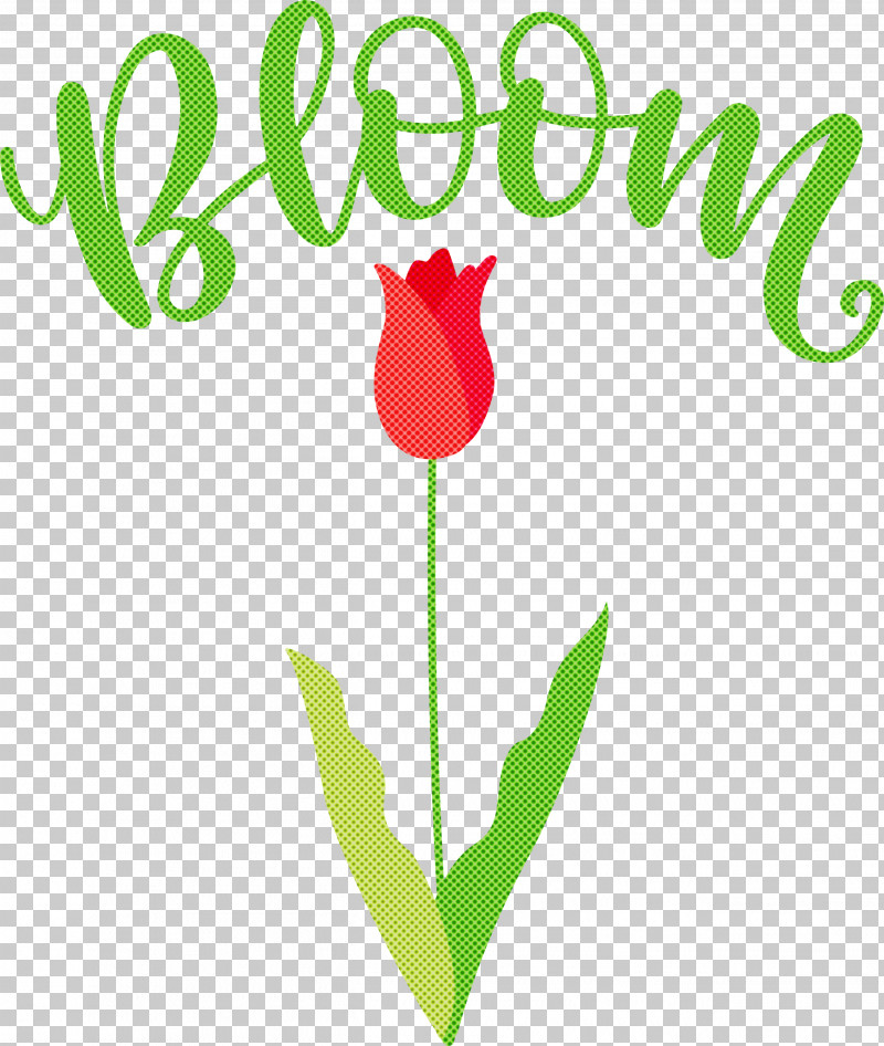 Bloom Spring Flower PNG, Clipart, Bloom, Cut Flowers, Floral Design, Flower, Leaf Free PNG Download