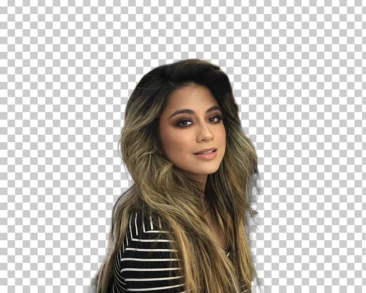 Ally Brooke Fifth Harmony PSA Tour The X Factor (U.S.) Hair PNG, Clipart, Ally Brooke, Black Hair, Brown Hair, Camila Cabello, Clairol Free PNG Download