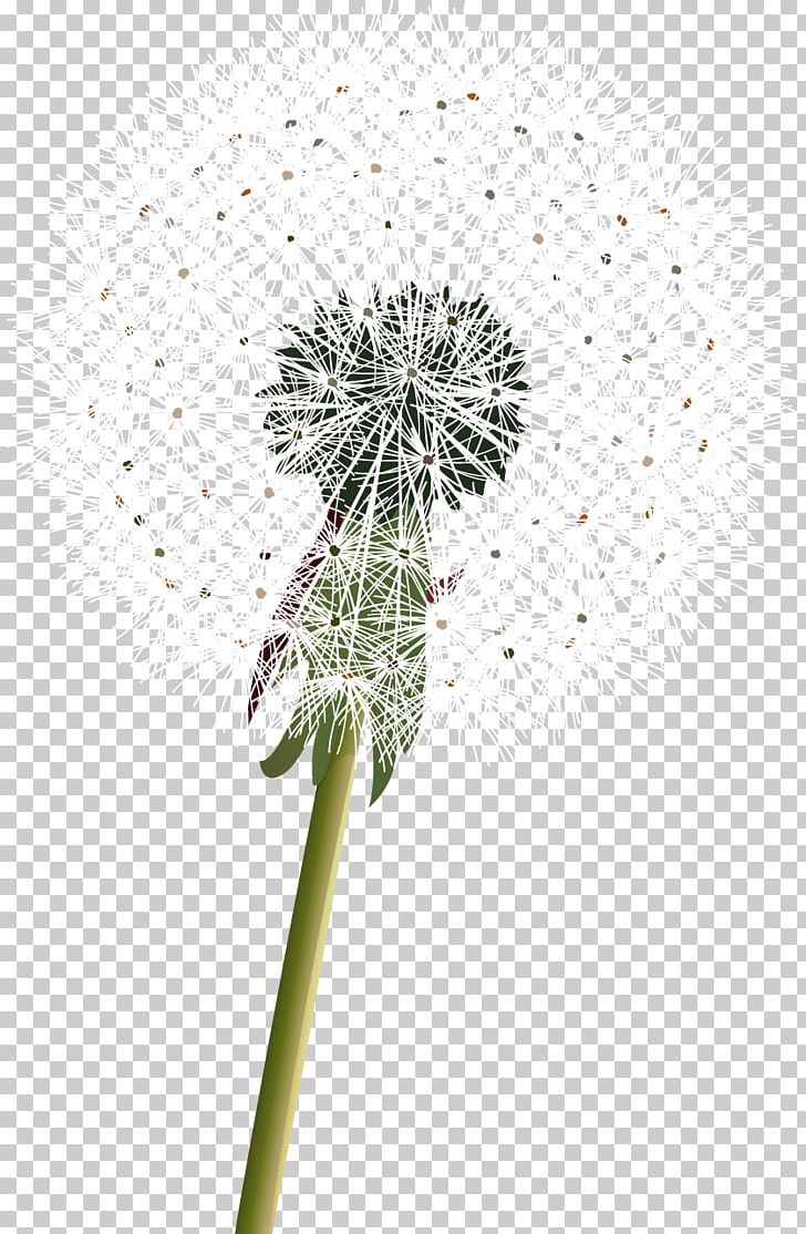 Common Dandelion Plant PNG, Clipart, Adobe Flash, Animation, Clip Art, Common Dandelion, Dandelion Free PNG Download