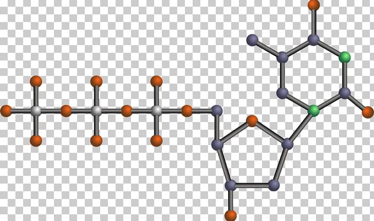 Nucleotide Adenosine Triphosphate DNA Graphics PNG, Clipart, Adenosine, Adenosine Triphosphate, Angle, Area, Body Jewelry Free PNG Download