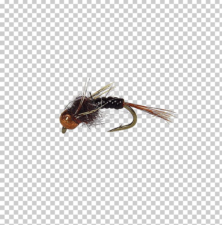 Artificial Fly Insect Nymph Holly Flies Brand PNG, Clipart, Artificial Fly, Brand, Copperhead, Fishing Bait, Fly Free PNG Download