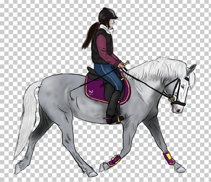 Stallion Hunt Seat Bridle Pony Mustang PNG, Clipart, Bridle, English Riding, Equestrian, Equestrian Sport, Horse Free PNG Download