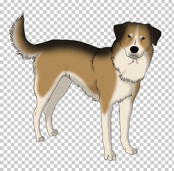 Ancient Dog Breeds Canaan Dog Norwegian Lundehund Companion Dog PNG, Clipart, Ancient Dog Breeds, Breed, Canaan Dog, Carnivoran, Companion Dog Free PNG Download