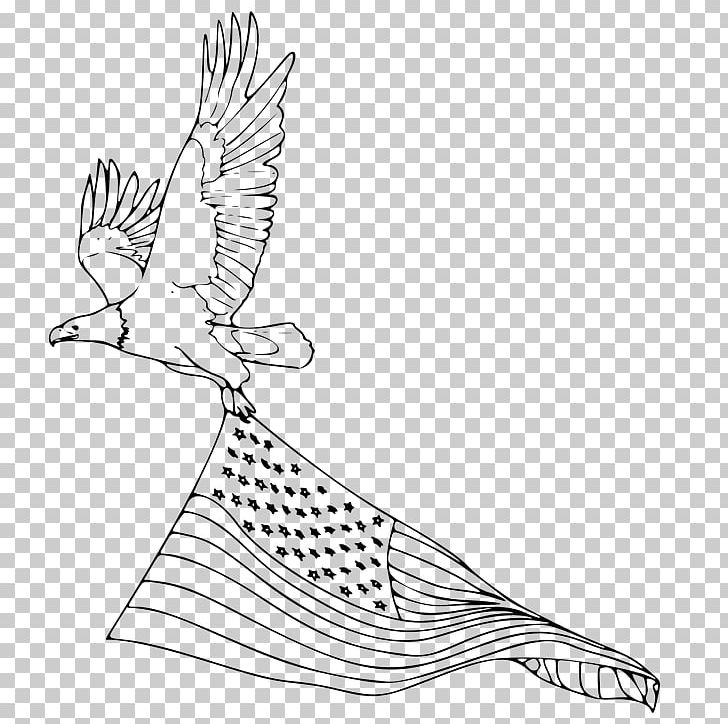 Bald Eagle Coloring Book Drawing Bird PNG, Clipart, Animal, Area, Art, Artwork, Bald Eagle Free PNG Download
