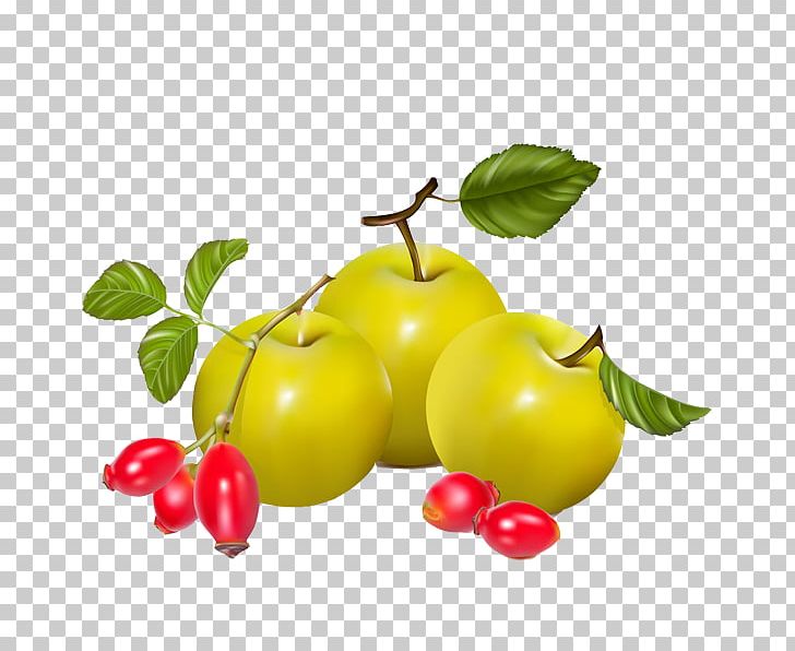 Berry Rose Hip Pear Euclidean PNG, Clipart, Auglis, Baby, Baby Tomato, Berry, Cherry Free PNG Download