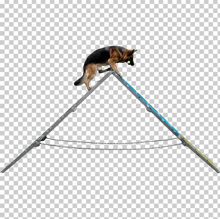 Dog Agility Carpet Cleaning Flooring PNG, Clipart, Angle, Animals, Carpet, Carpet Cleaning, Chemdry Free PNG Download