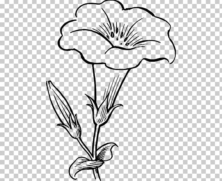 Drawing Line Art Flower Sketch PNG, Clipart, Artwork, Black And White, Coloring Book, Cut Flowers, Deviantart Free PNG Download