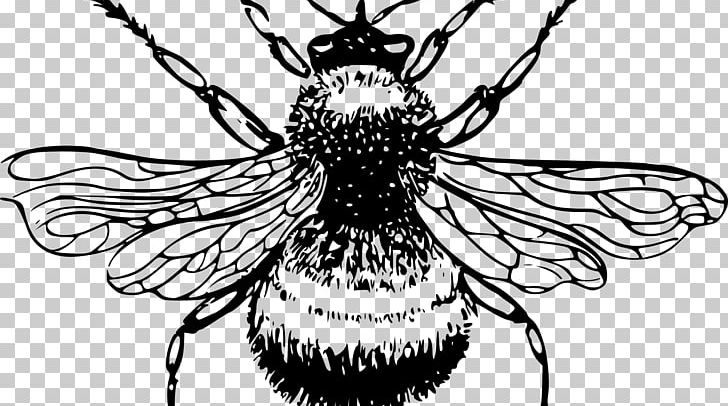 European Dark Bee Drawing Honey Bee PNG, Clipart, Arthropod, Beehive, Brush Footed Butterfly, Fictional Character, Flower Free PNG Download