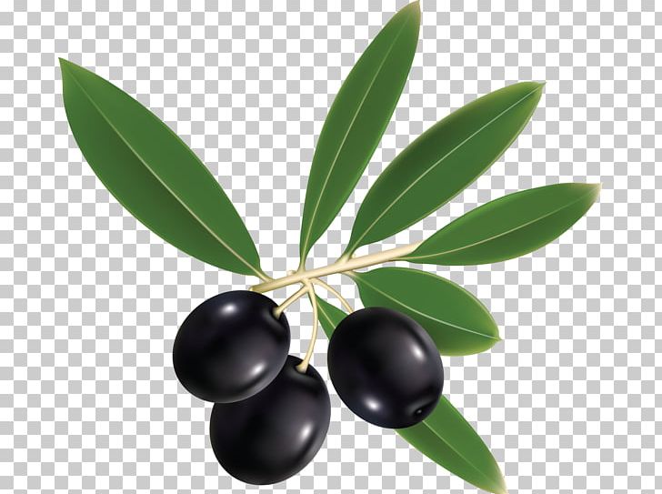 Olive Leaf Olive Oil PNG, Clipart, Cooking, Food, Food Drinks, Fruit, Leaf Free PNG Download