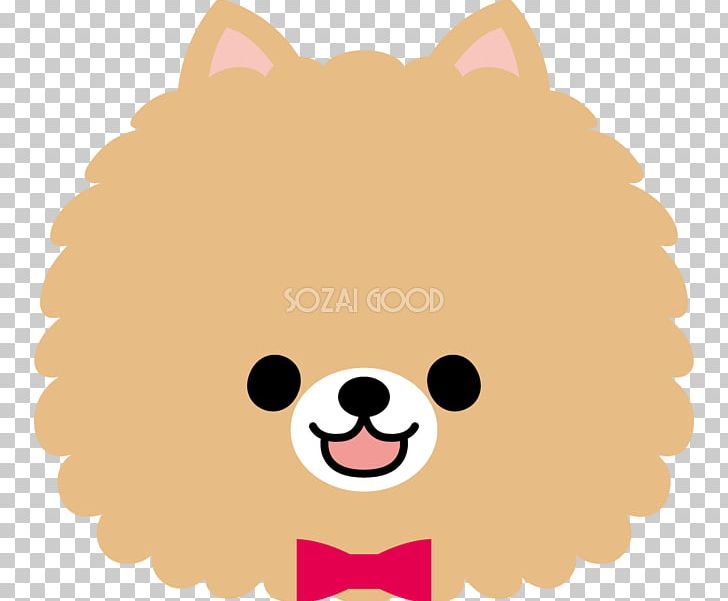 Puppy Pomeranian Snout Whiskers PNG, Clipart, Animal, Animals, Bow Tie, Butterfly, Carnivoran Free PNG Download