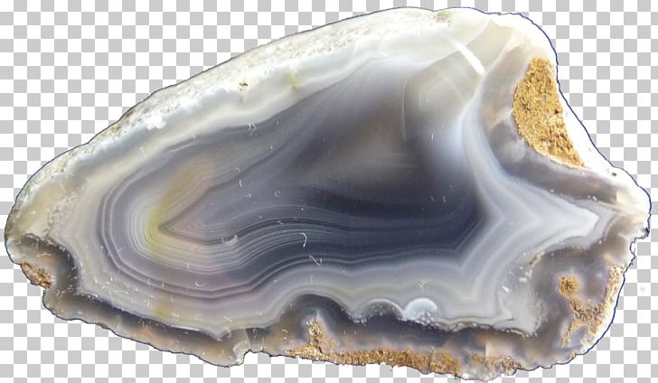Clam Mineral Jaw PNG, Clipart, Agate Stone, Clam, Clams Oysters Mussels And Scallops, Crystal, Jaw Free PNG Download