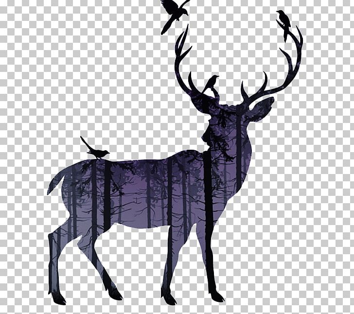 White-tailed Deer Reindeer Moose Elk PNG, Clipart, Animals, Antler, Bird, Black And White, Christmas Deer Free PNG Download