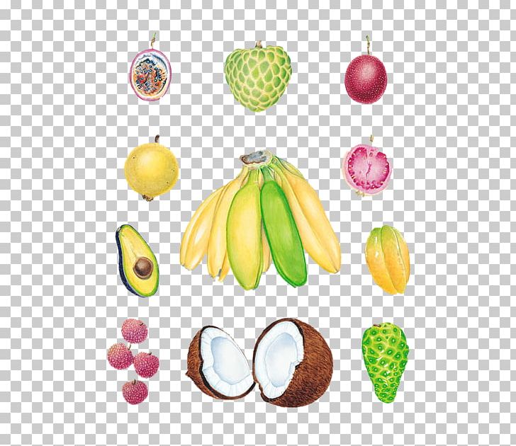 Avocado Tropical Fruit Lychee Banana PNG, Clipart, Avocado, Avocado Vector, Banana, Banana Leaves, Bananas Free PNG Download