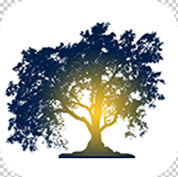 Certified Arborist Branch Tree Web Design PNG, Clipart, App, Arborist, Branch, Certified Arborist, Company Free PNG Download