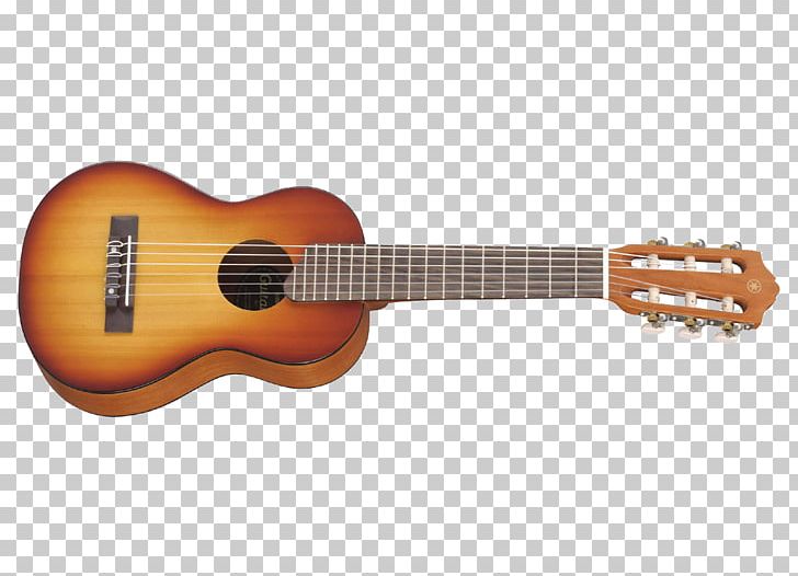 Acoustic Guitar Ukulele Tiple Cuatro Cavaquinho PNG, Clipart, Acoustic Electric Guitar, Classical Guitar, Cuatro, Guitar Accessory, Musical Instrument Free PNG Download