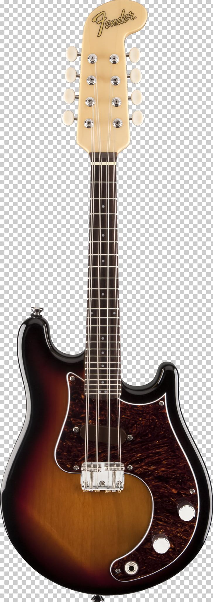 Fender Stratocaster Electric Mandolin Fender Musical Instruments Corporation String Instruments PNG, Clipart, Acoustic Electric Guitar, Acoustic Guitar, Guitar Accessory, Mandolin, Music Free PNG Download