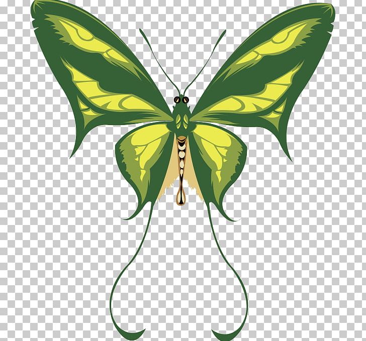Monarch Butterfly Pieridae Brush-footed Butterflies Moth PNG, Clipart, Arthropod, Bombycidae, Brush Footed Butterfly, Butterfly, Character Free PNG Download