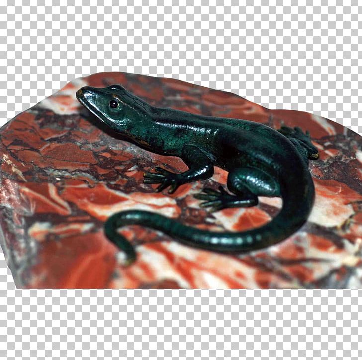 Reptile PNG, Clipart, Animals, Lizard, Miscellaneous, Others, Reptile Free PNG Download