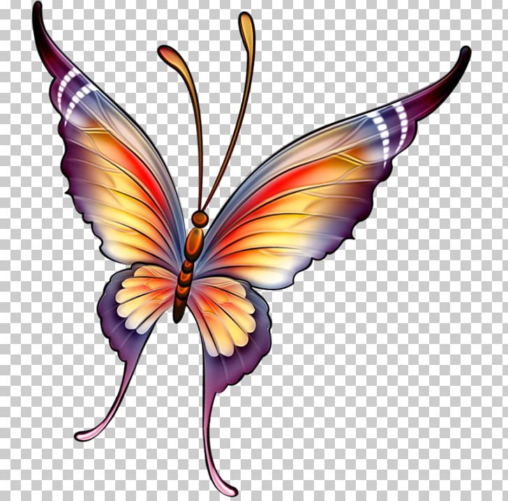 Butterfly Drawing Painting PNG, Clipart, Art, Arthropod, Brush Footed Butterfly, Butterflies And Moths, Fairy Free PNG Download