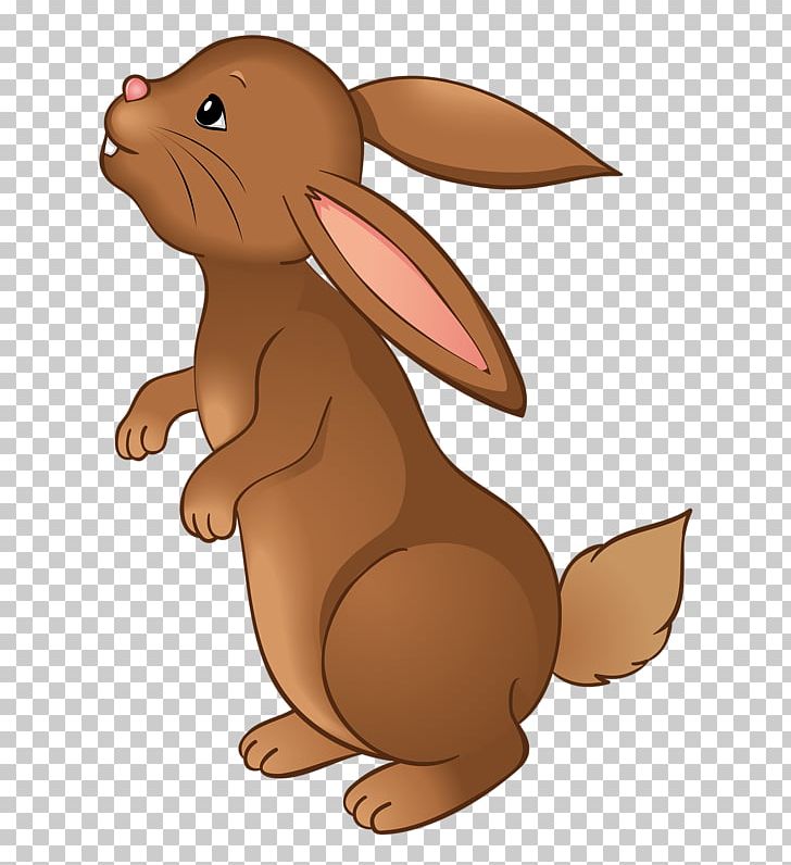 Easter Bunny Leporids European Rabbit PNG, Clipart, Animals, Beaver, Big, Big Rabbit, Carnivoran Free PNG Download