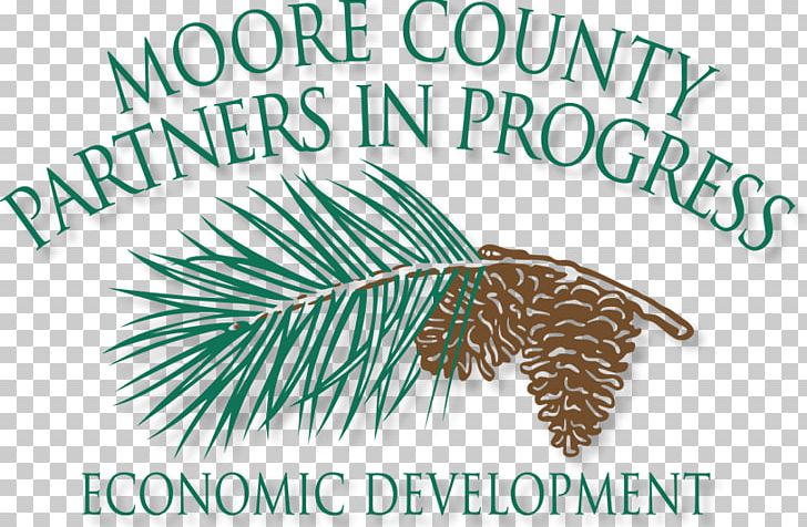 Moore County Partners In Progress Hoke County PNG, Clipart, Bladen County North Carolina, Conifer, Economic Development, Hoke County North Carolina, Institute For Emerging Issues Free PNG Download
