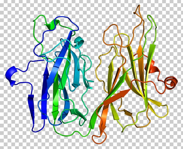 Peptidylglycine Alpha-amidating Monooxygenase Peptidylglycine Monooxygenase Enzyme Protein PNG, Clipart, Art, Artwork, Biochemistry, Biosynthesis, Cell Signaling Free PNG Download