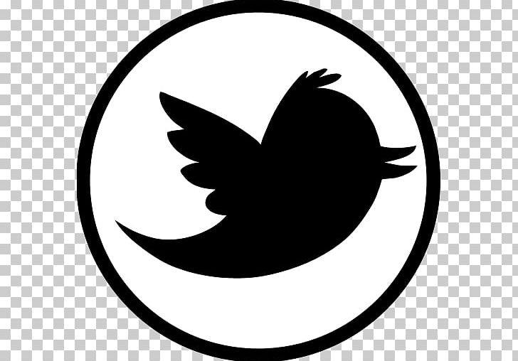Social Media Computer Icons Animation PNG, Clipart, Animation, Artwork, Beak, Bird, Bird Logo Free PNG Download