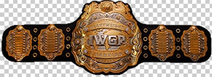 IWGP Tag Team Championship IWGP Junior Heavyweight Championship IWGP Intercontinental Championship World Heavyweight Championship IWGP Junior Heavyweight Tag Team Championship PNG, Clipart, Belt, Champion, Championship Belt, Iwgp Tag Team Championship, January 4 Tokyo Dome Show Free PNG Download