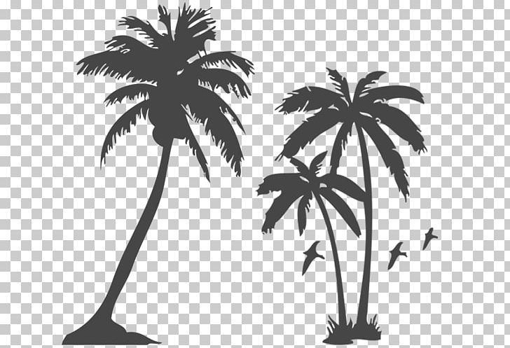 WMEZ Cumulus Media Shaka's Rock FM Broadcasting Home Builders Association Of West Florida PNG, Clipart, Black And White, Borassus Flabellifer, Branch, Broadcasting, Cumulus Media Free PNG Download