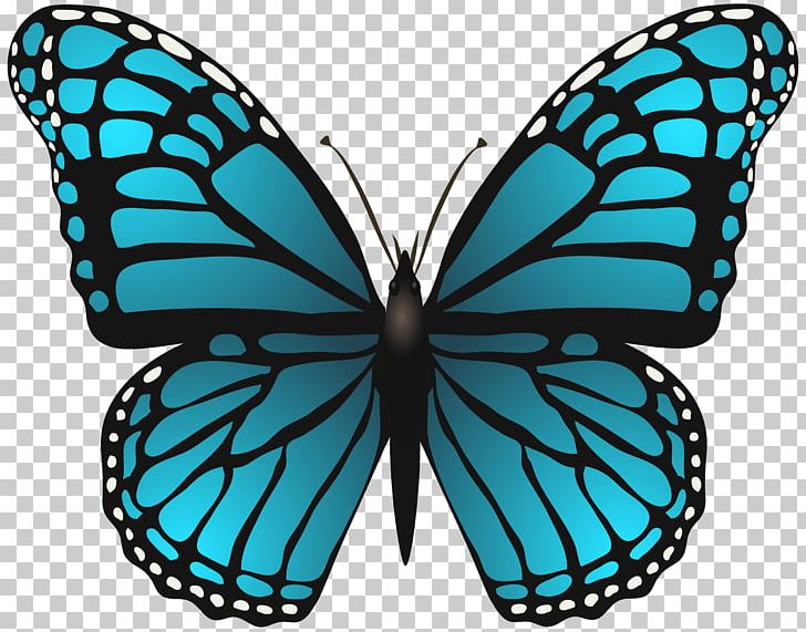 Butterfly Blue Stock Photography PNG, Clipart, Arthropod, Blue, Brush Footed Butterfly, Butterfly, Can Stock Photo Free PNG Download