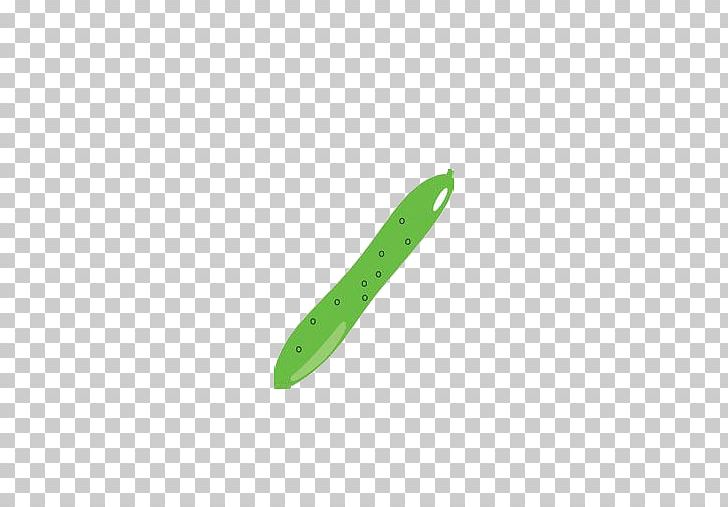 Cucumber Vegetable Pepino PNG, Clipart, Angle, Balloon Cartoon, Boy Cartoon, Cartoon, Cartoon Character Free PNG Download