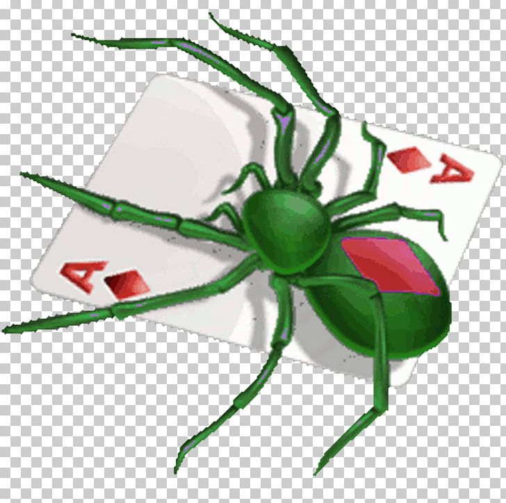 Microsoft Spider Solitaire Microsoft Solitaire Spider Free Solitaire Patience PNG, Clipart, Android, Arthropod, Card Game, Flower, Game Free PNG Download