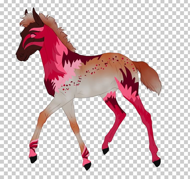 Mustang Foal Stallion Mare Colt PNG, Clipart,  Free PNG Download