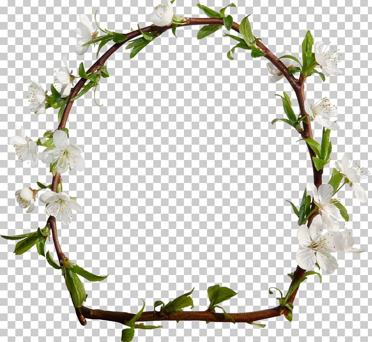 Paper Blog PNG, Clipart, Blossom, Branch, Diamond Ring, Encapsulated Postscript, Flora Free PNG Download