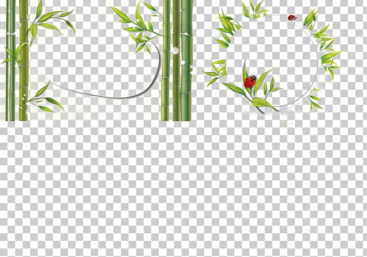 Bamboo Bambusa Oldhamii Red PNG, Clipart, Bambo, Blue, Branch, Computer Wallpaper, Encapsulated Postscript Free PNG Download