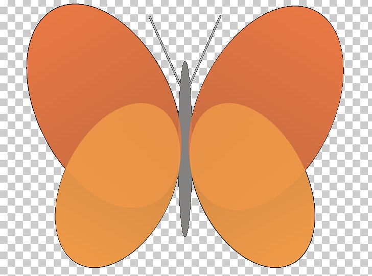 Butterfly PNG, Clipart, Arthropod, Butterflies And Moths, Butterfly, Circle, Insect Free PNG Download