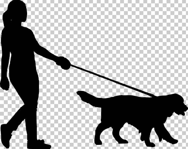 Dog Walking Pet Sitting PNG, Clipart, Animals, Black, Black And White, Carnivoran, Dog Free PNG Download